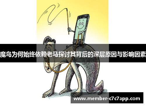 魔鸟为何始终依赖老马探讨其背后的深层原因与影响因素